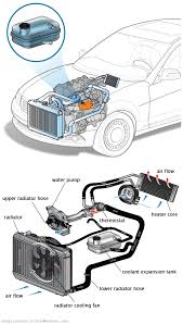 See P2116 in engine